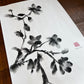 Dark Camelia