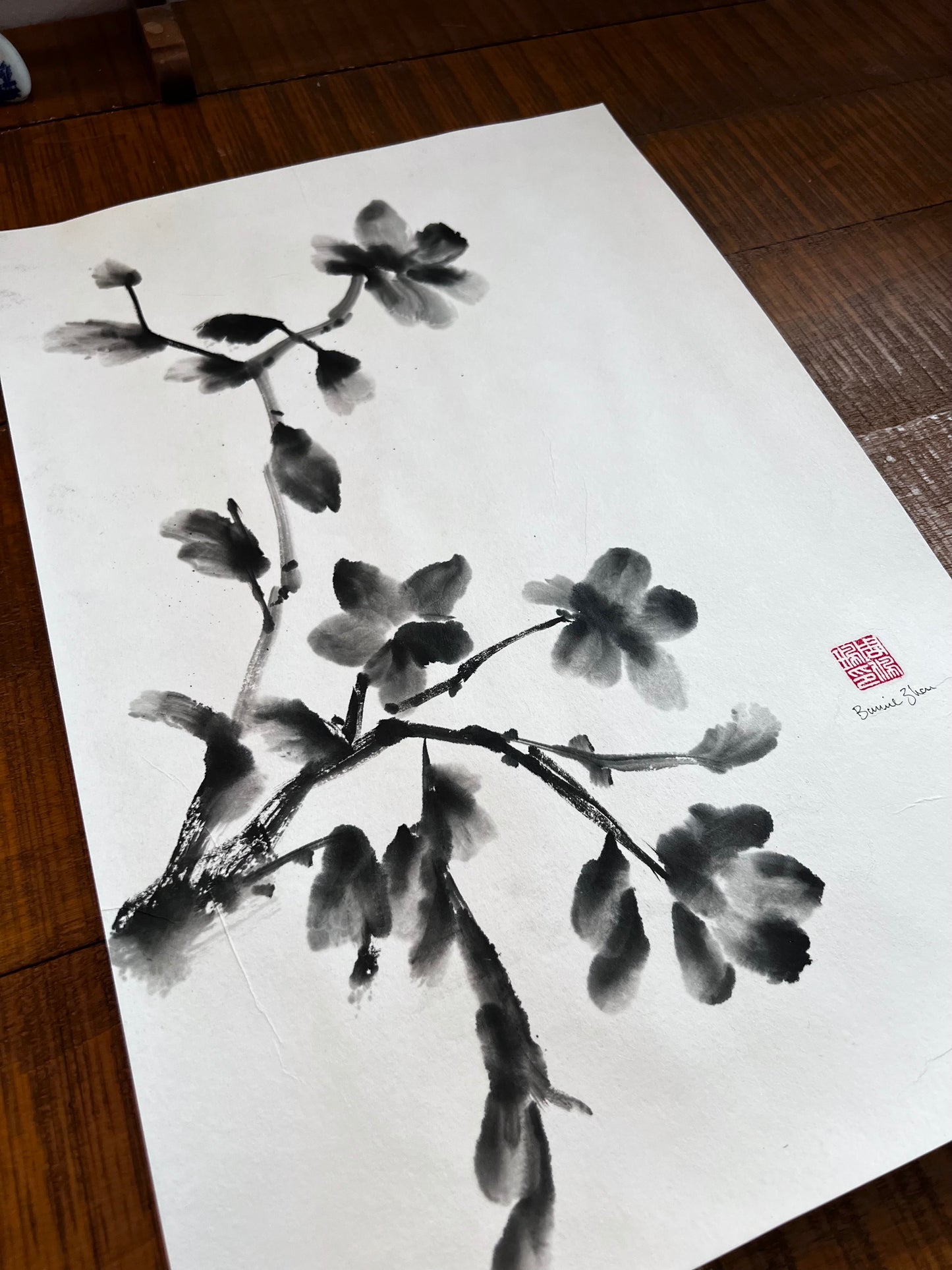 Dark Camelia