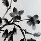 Dark Camelia