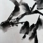 Dark Camelia