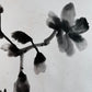 Dark Camelia