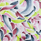 Petal Exploration